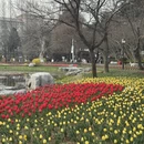 北京旅游 缩略图 6