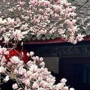 金华旅游 缩略图 12
