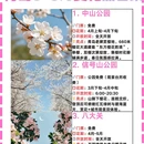 青岛旅游 缩略图 1