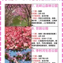 青岛旅游 缩略图 3