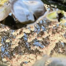成都旅游 缩略图 4