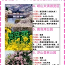 青岛旅游 缩略图 2