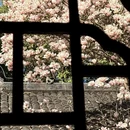 成都旅游 缩略图 5