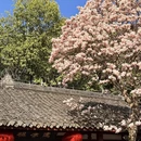 成都旅游 缩略图 11