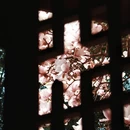 成都旅游 缩略图 8