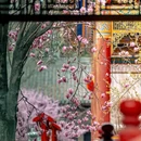 成都旅游 缩略图 5