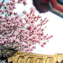 成都旅游 缩略图 2