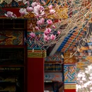 成都旅游 缩略图 4