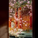 成都旅游 缩略图 7