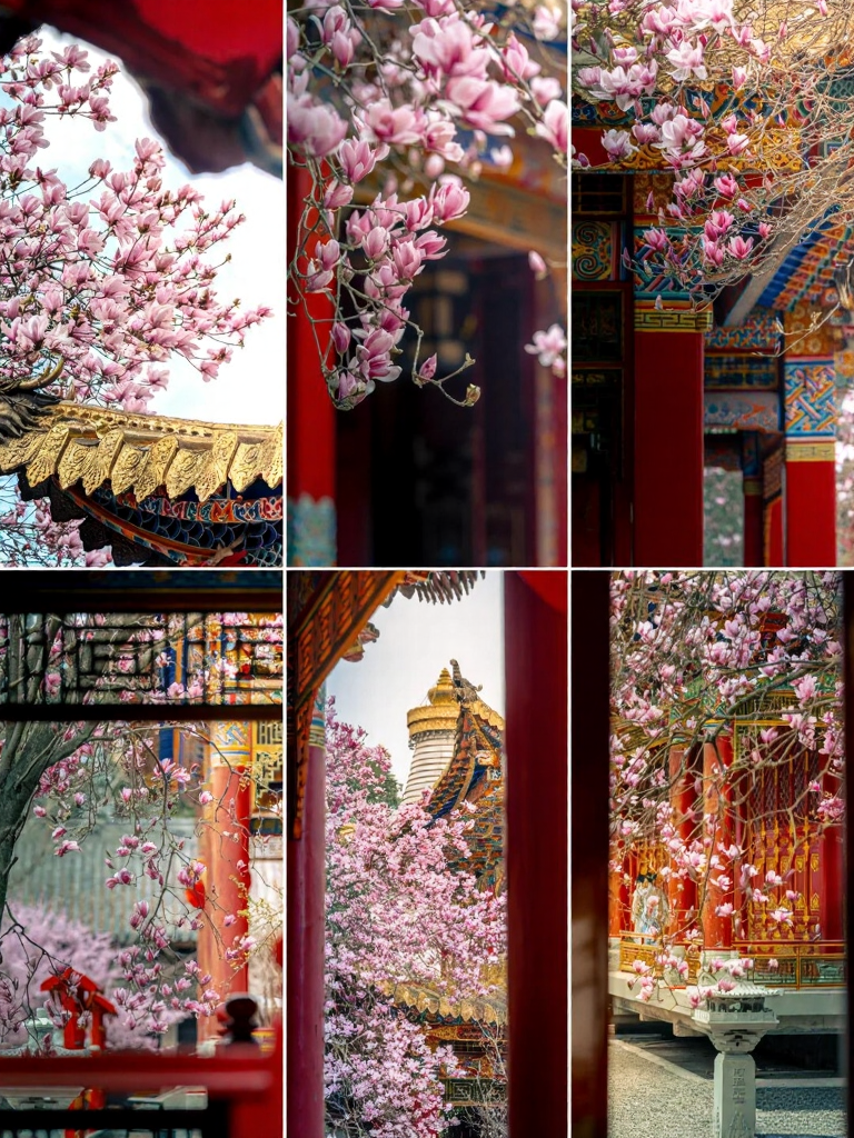 成都旅游