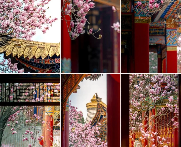 成都旅游 1