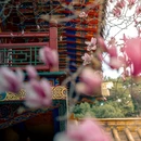 成都旅游 缩略图 13