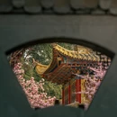成都旅游 缩略图 15