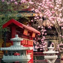 成都旅游 缩略图 16
