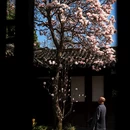 成都旅游 缩略图 7