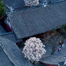 成都旅游 缩略图 2
