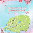 青岛旅游 缩略图 1
