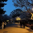 青岛旅游 缩略图 5