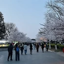 青岛旅游 缩略图 3