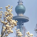 青岛旅游 缩略图 1
