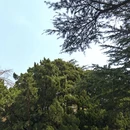 青岛旅游 缩略图 3