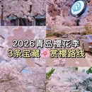 青岛旅游 缩略图 1