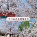 青岛旅游 缩略图 2