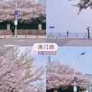 青岛旅游 缩略图 6