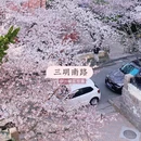 青岛旅游 缩略图 5