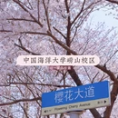 青岛旅游 缩略图 3