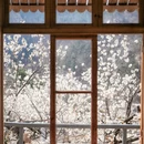 青岛旅游 缩略图 4