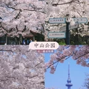 青岛旅游 缩略图 7
