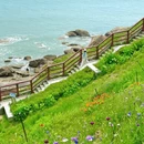 青岛旅游 缩略图 2