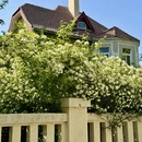 青岛旅游 缩略图 9