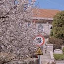 青岛旅游 缩略图 13