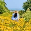 青岛旅游 缩略图 10
