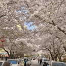 青岛旅游 缩略图 3