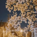 青岛旅游 缩略图 6