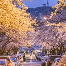 青岛旅游 缩略图 1