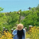 青岛旅游 缩略图 18
