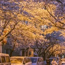 青岛旅游 缩略图 2