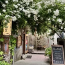 青岛旅游 缩略图 14