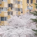 青岛旅游 缩略图 9