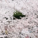 青岛旅游 缩略图 2