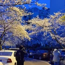 青岛旅游 缩略图 6