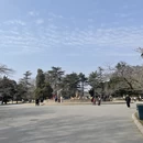 青岛旅游 缩略图 1
