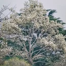 青岛旅游 缩略图 5