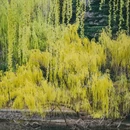 青岛旅游 缩略图 7