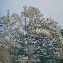 青岛旅游 缩略图 6