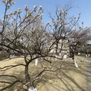青岛旅游 缩略图 2